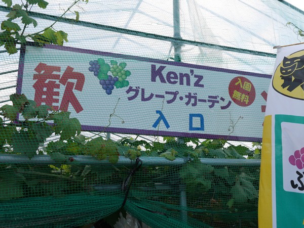 ( Kenz グレープガーデンへ )