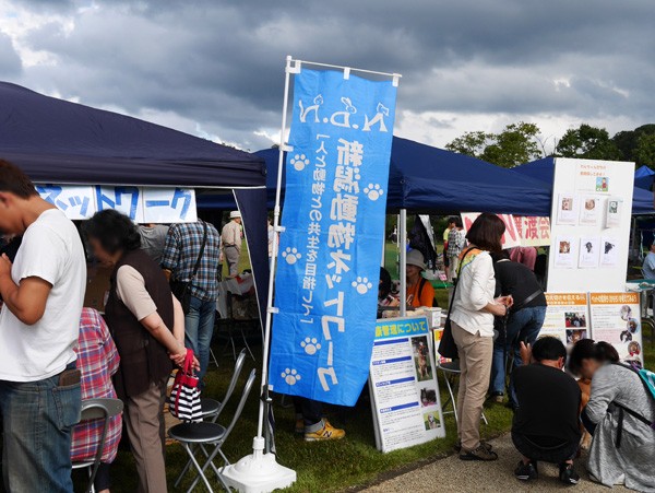 ( 新潟動物ネットワーク 譲渡会 )