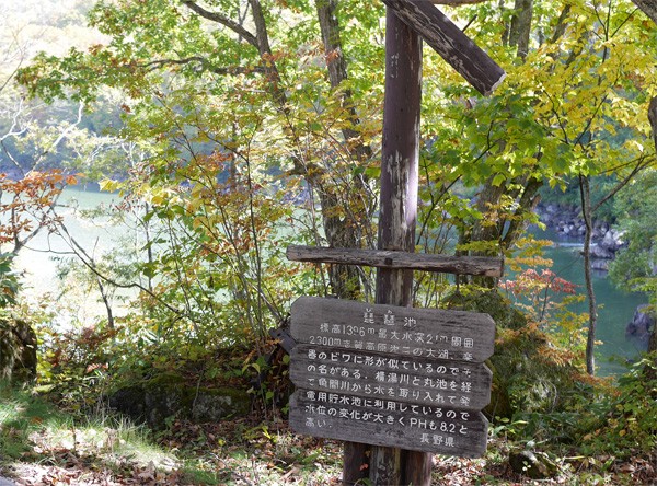 ( 見覚えのある看板 )