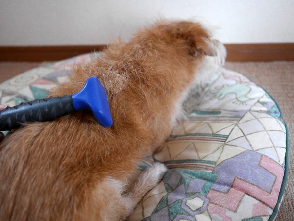 ( もそっと上も )