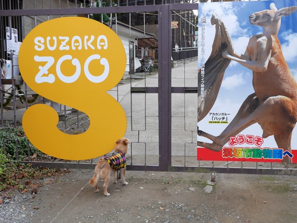 ( 須坂市動物園 )