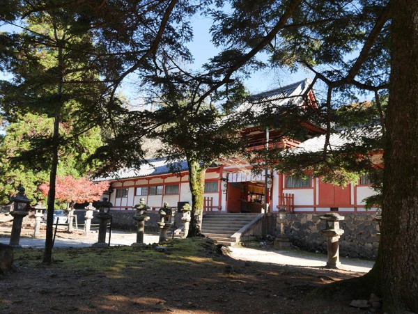 ( 手向山八幡宮 )