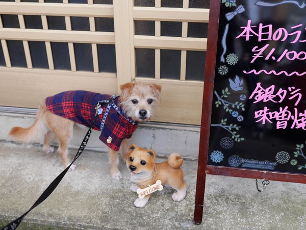( 入るだよ )