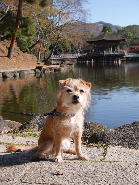 ( 浮見堂だ )
