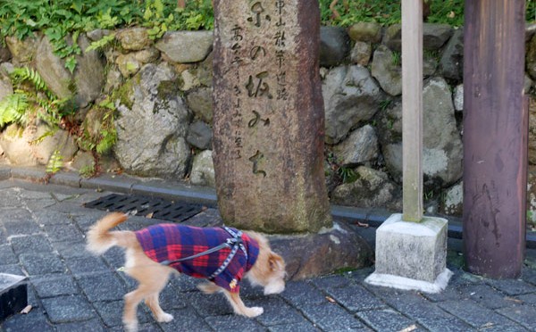 ( 下界のにおいだ )