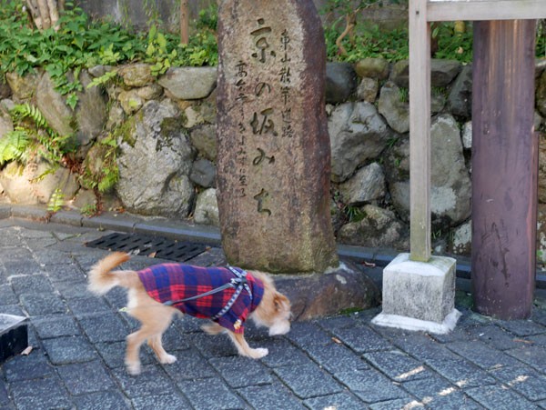 ( 下界のにおいだ )