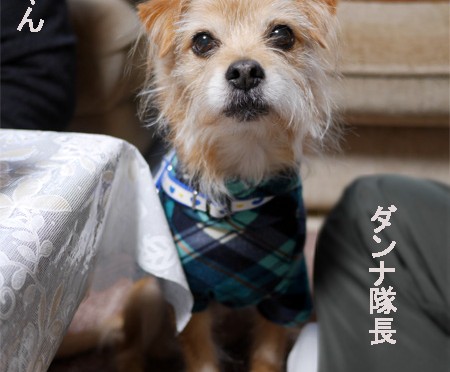 ( おら いるだよ )