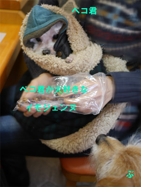 ( ご相伴するだ )