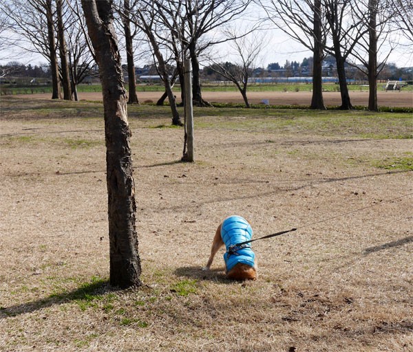 ( ズボッ )