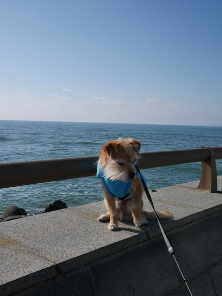 ( ふぅ )