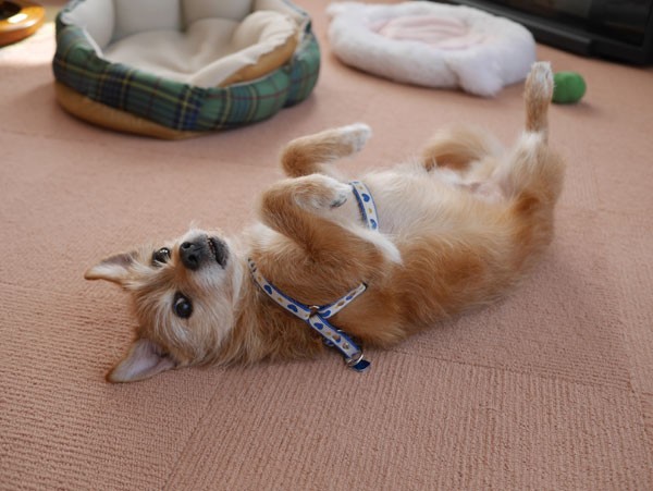 ( 今日って? )