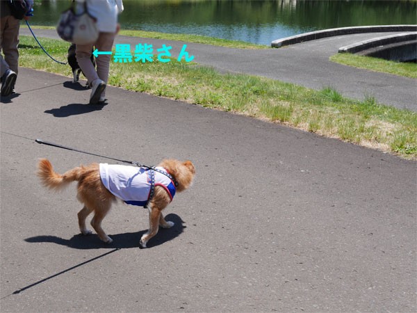 ( けっ。 )