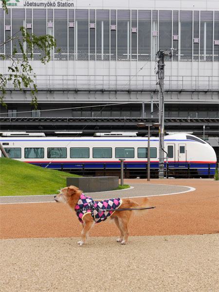 ( 電車とオラ )