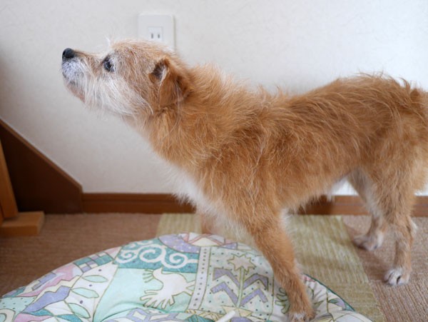 ( そっちにあるはず・・・ )