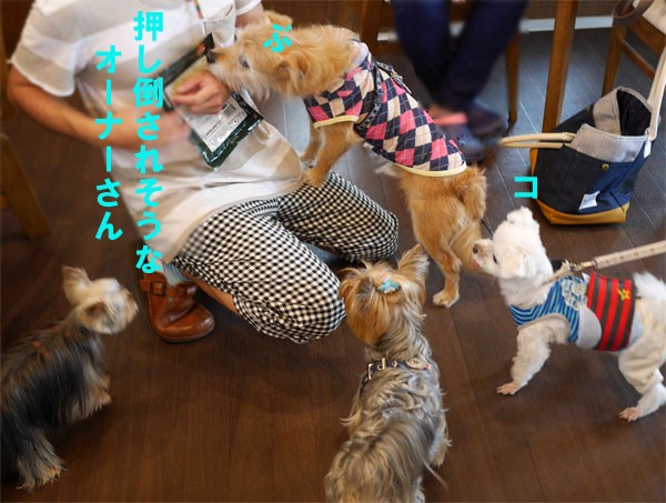 ( 早く、早く♪ )