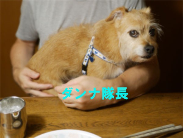 ( サッ! )