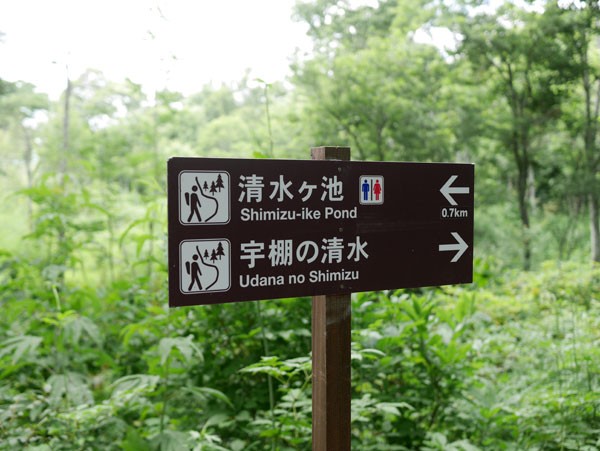( 寄ってくだよ )