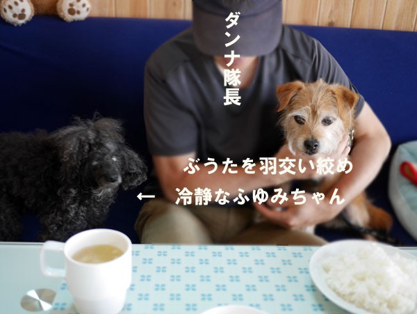( ジタバダするだよ )