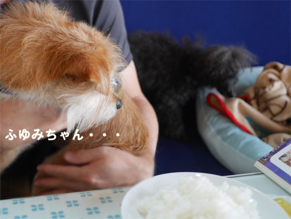 ( ベッドかぁ~ )