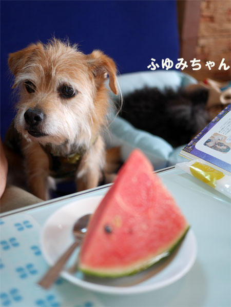 ( おらのは・・・ )