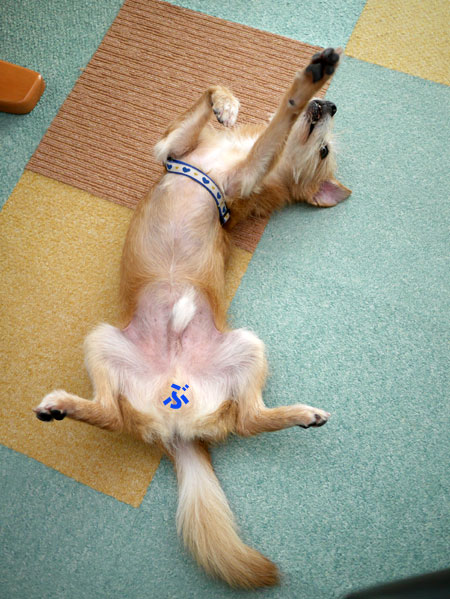 ( Zzzzzzzzzzz )