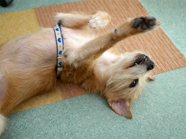 ( Zzzzzz )