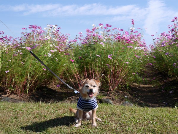 ( さてと。 )
