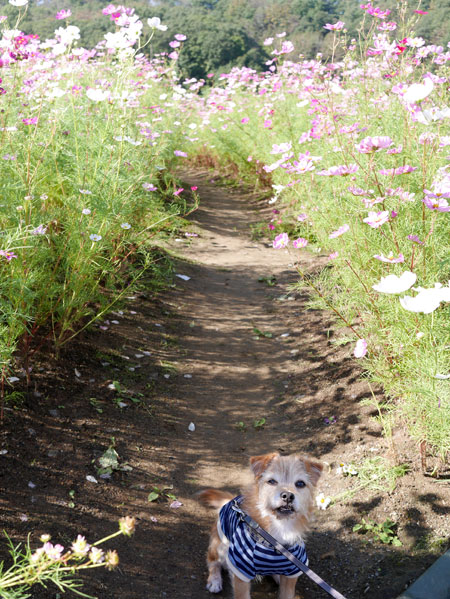 ( さぁ♪ )