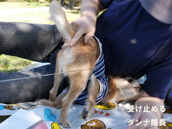 ( ずりずり~ )