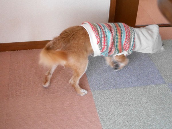 ( そろ~り )