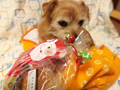 ( 全部おらのだよ!)