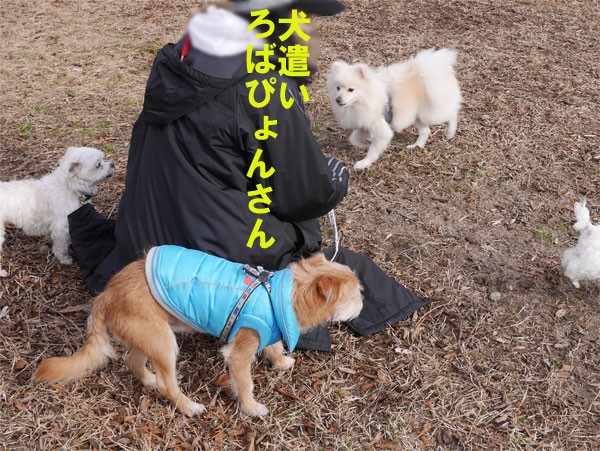 ( そーーーっ )