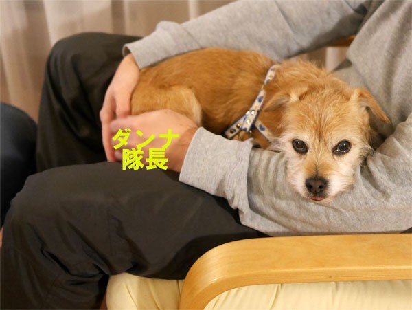 ( 誰だもいいだよ )