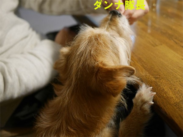 ( ぱくっ )