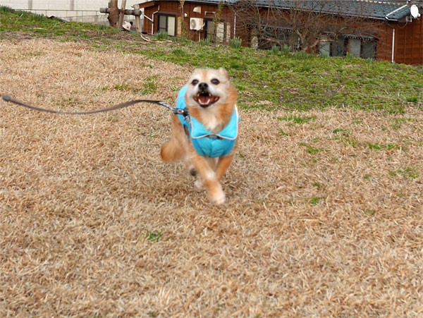 ( うひょひょ~ )
