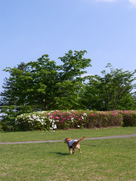 ( わぁ~♪ )
