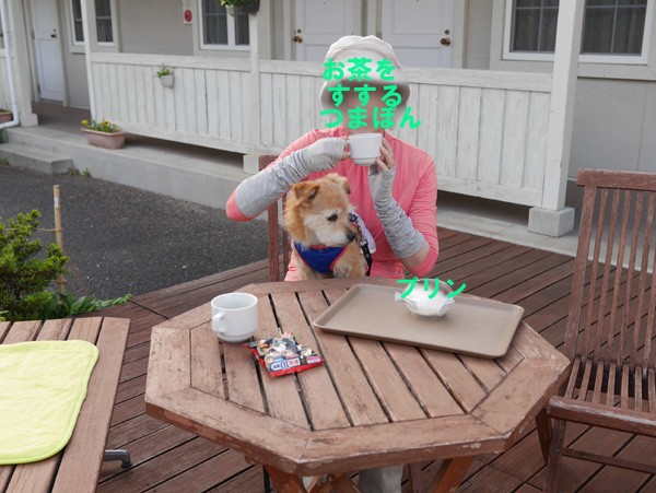 ( じぃぃぃぃぃぃ )