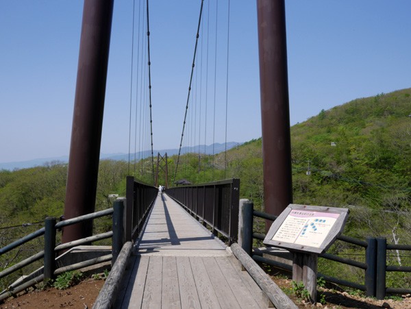 ( つつじ吊橋 )