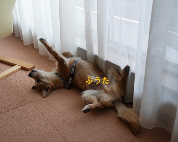 ( ひょい )
