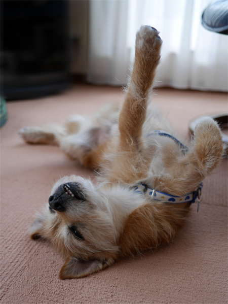 ( ZZZZZZ )