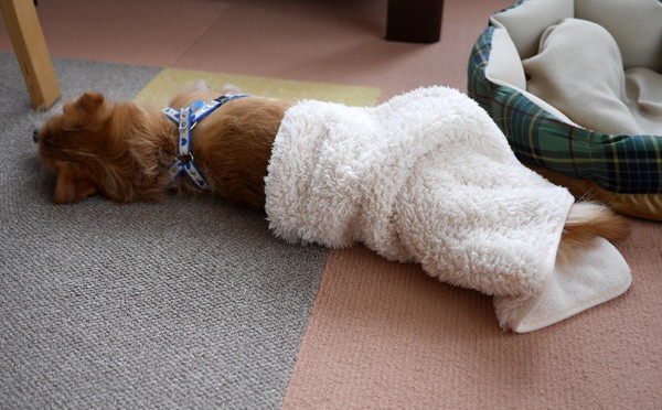 ( Zzzzzz )