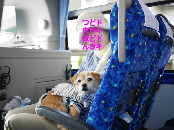 ( おら一番前の席 )