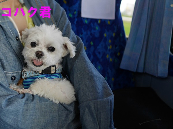 ( 超ごきげんだぜ! )