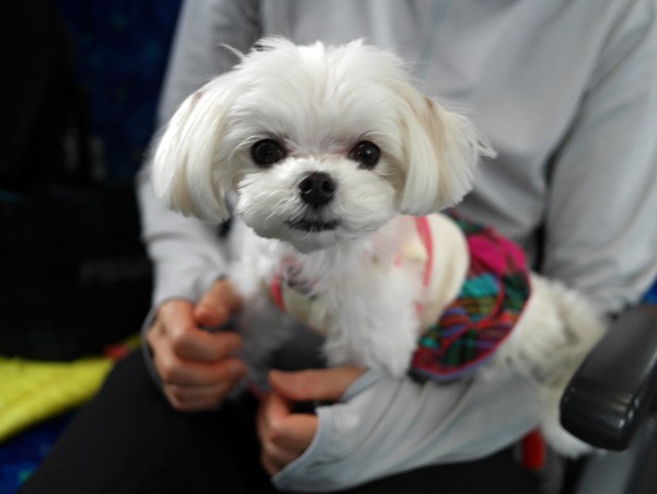 ( 今日も、かわいいだね )