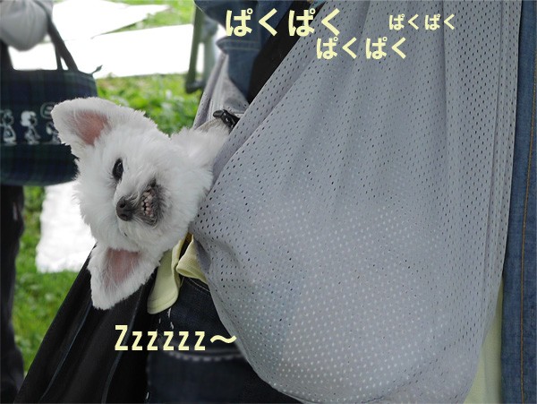 ( くかぁ~ )