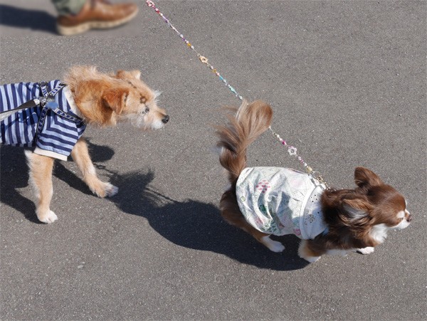 ( おっ♪ )