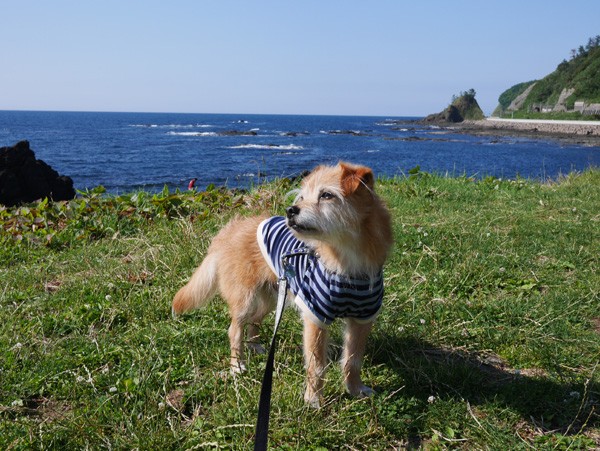 ( 青い海とオラ )