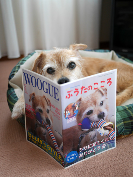 ( おらだって・・・ )