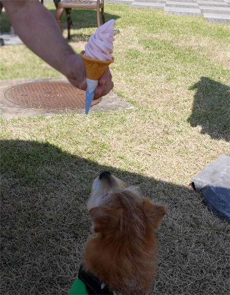 ( バラアイスかぁ )