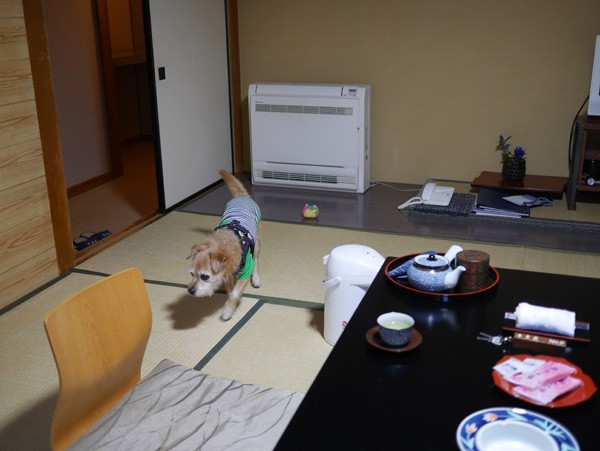 ( スタスタ )
